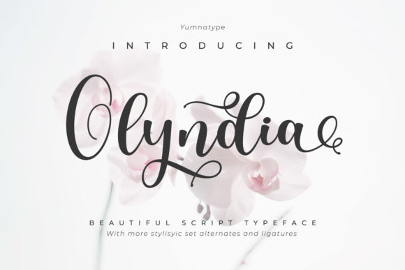 Olyndia: The Handwritten Font That Elevates Campaigns