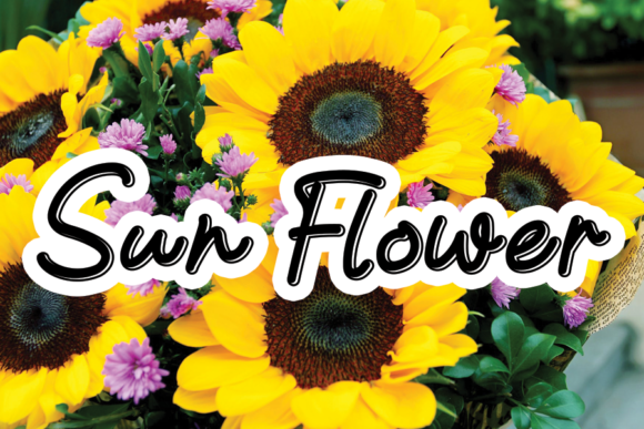 Sun Flower Font: Elevate Your Brand Identity