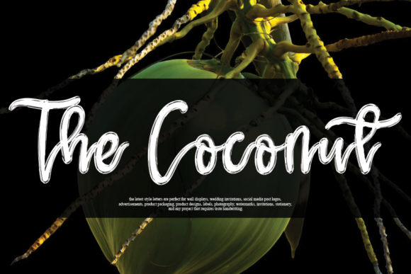 The Coconut: A Handwritten Font for Modern Web Design
