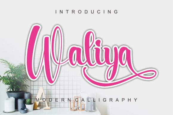 Waliya Font Review: Elegant Script for Branding
